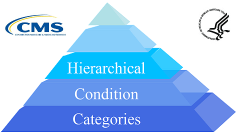 CMS Hierarchical